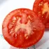Tomate rouge Joffre bio - Semailles
