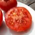 Tomate rouge Gloire de Malines