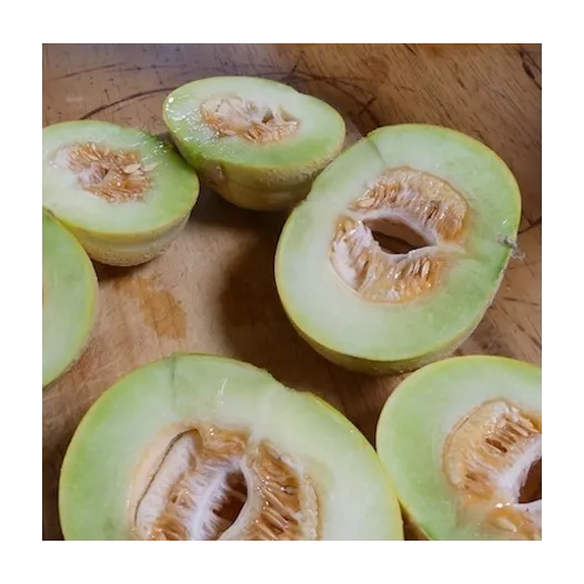 Melon Brodé Jenny Lind