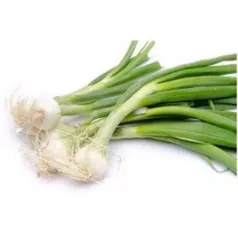 Oignon Blanc Premier Oignon Blanc Premier