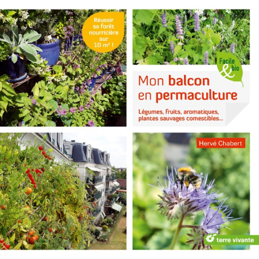 Mon balcon en permaculture