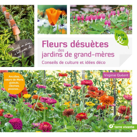 Fleurs désuètes des jardins de grand-mères