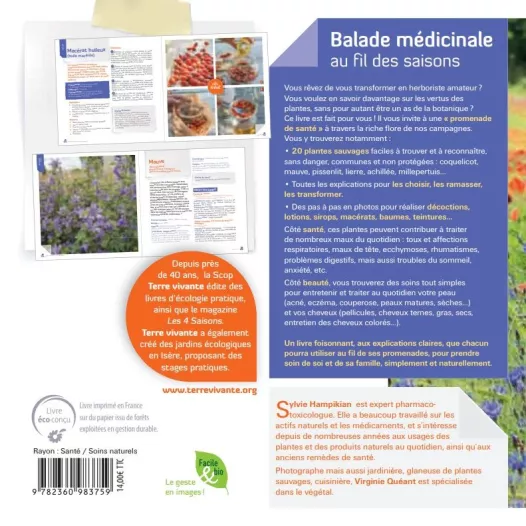 Balade médicinale au fil des saisons