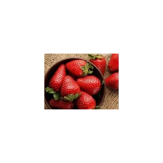 Fraisier Cigaline - 25plants - calibre C Fraisier Cigaline - 25plants - calibre C