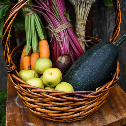 kit cadeau : légumes d'un curieux