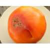 Tomate Pamplemousse du Grand-Père