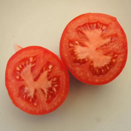 Tomaat Belle de Lorraine Tomaat Belle de Lorraine