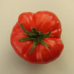 Tomate Chemin rouge Tomate Chemin rouge