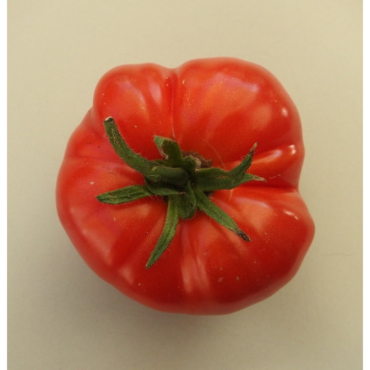 Tomate Chemin rouge