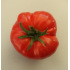 Tomate Chemin rouge