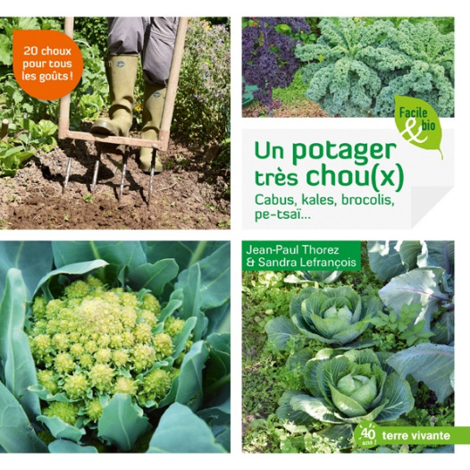 Un potager très choux