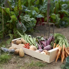 Kit cadeau : Des légumes belges dans mon assiette Kit cadeau : Des légumes belges dans mon assiette