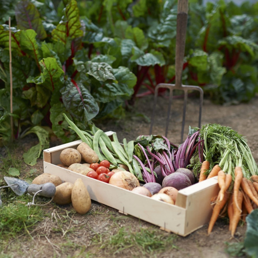 Kit cadeau : Des légumes belges dans mon assiette