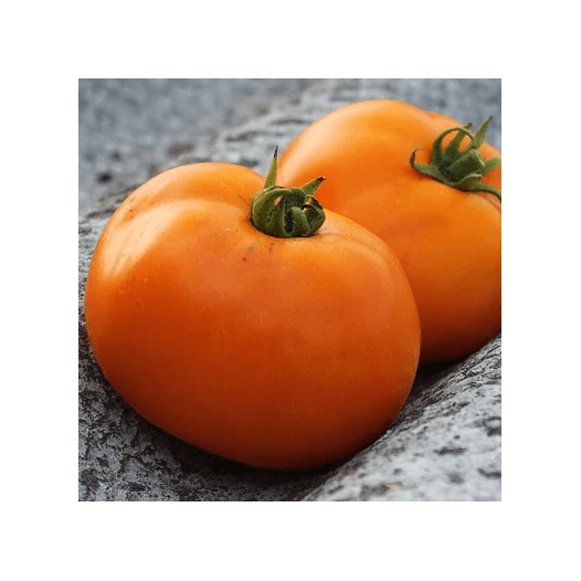 Tomate Valencia Orange