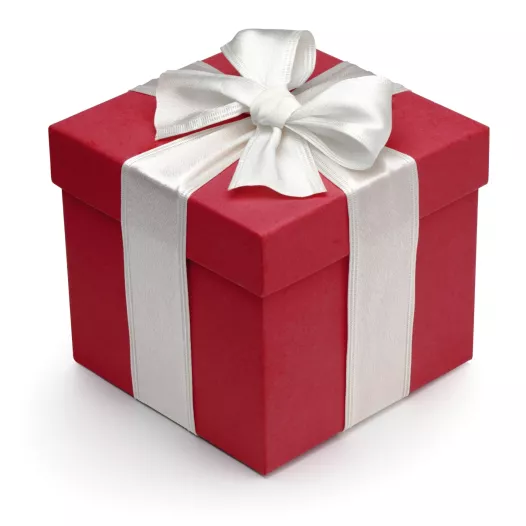 Cadeau - Sachet de graines surprise