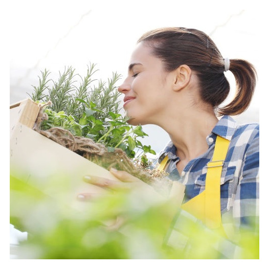 Kit cadeau : Je jardine au balcon