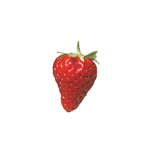 Aardbeipoot Cijosee - 25 poten - Kaliber B