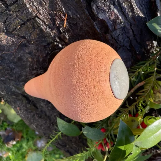 Olla - Modèle à planter 0.6L