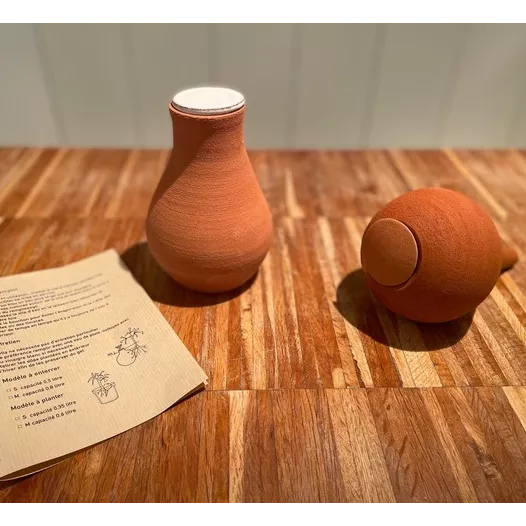 Olla - Modèle à planter 0.35L Olla - Modèle à planter 0.35L