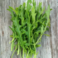 Roquette Dragon's Tong Roquette Dragon's Tong