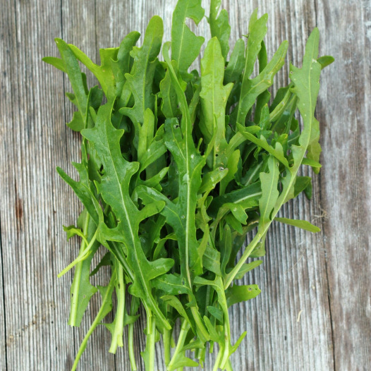 Roquette Dragon's Tong