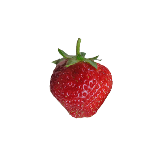 Aardbeipoot CMaestro - 25 poten - Kaliber B