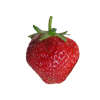 Aardbeipoot CMaestro - 12 poten - Kaliber A