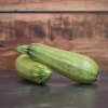 Courgette Petite Grise d'Alger