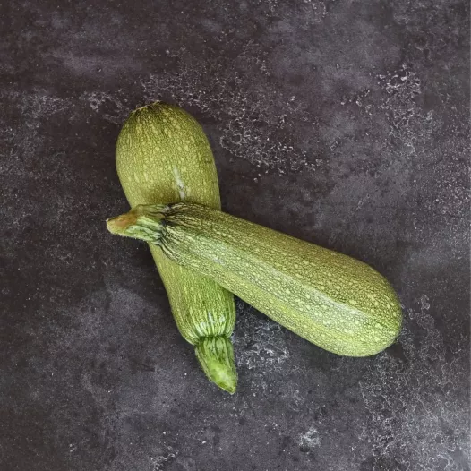 Courgette Petite Grise d'Alger Courgette Petite Grise d'Alger