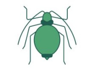 Lutte contre les parasites
