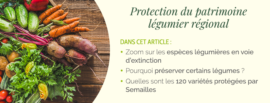 Protection du patrimoine légumier régional