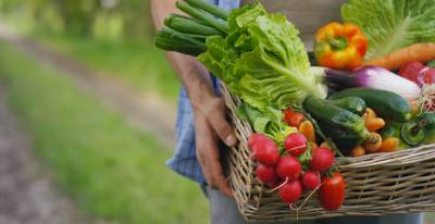 Panier garni de nombreux légumes