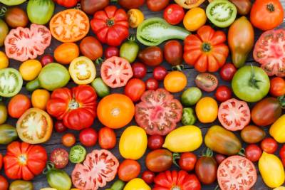 Tomates de variétés et de couleurs différentes