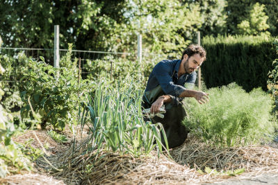 Jardiner au potager après une année difficile