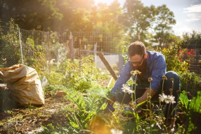 Semailles vous explique les bienfaits du jardinage pour votre santé