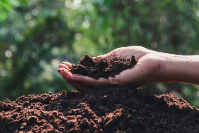 Découvrez comment aggrader vos sols naturellement avec Semailles