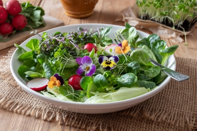 Découvrez des fleurs comestibles pour agrémenter votre jardin et votre assiette avec Semailles