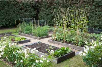 Avantages d'un potager dans son jardin